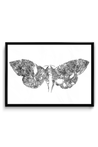 "MOTH MACHINE" SIGNED PRINT