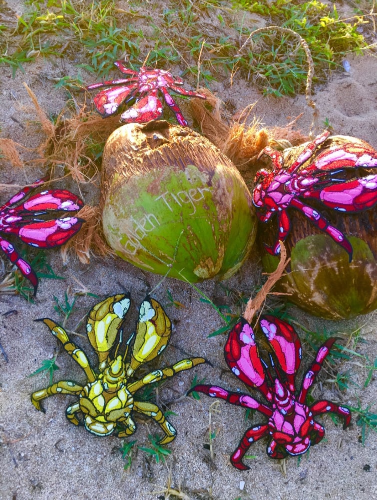 Image of Red Coconut Crab