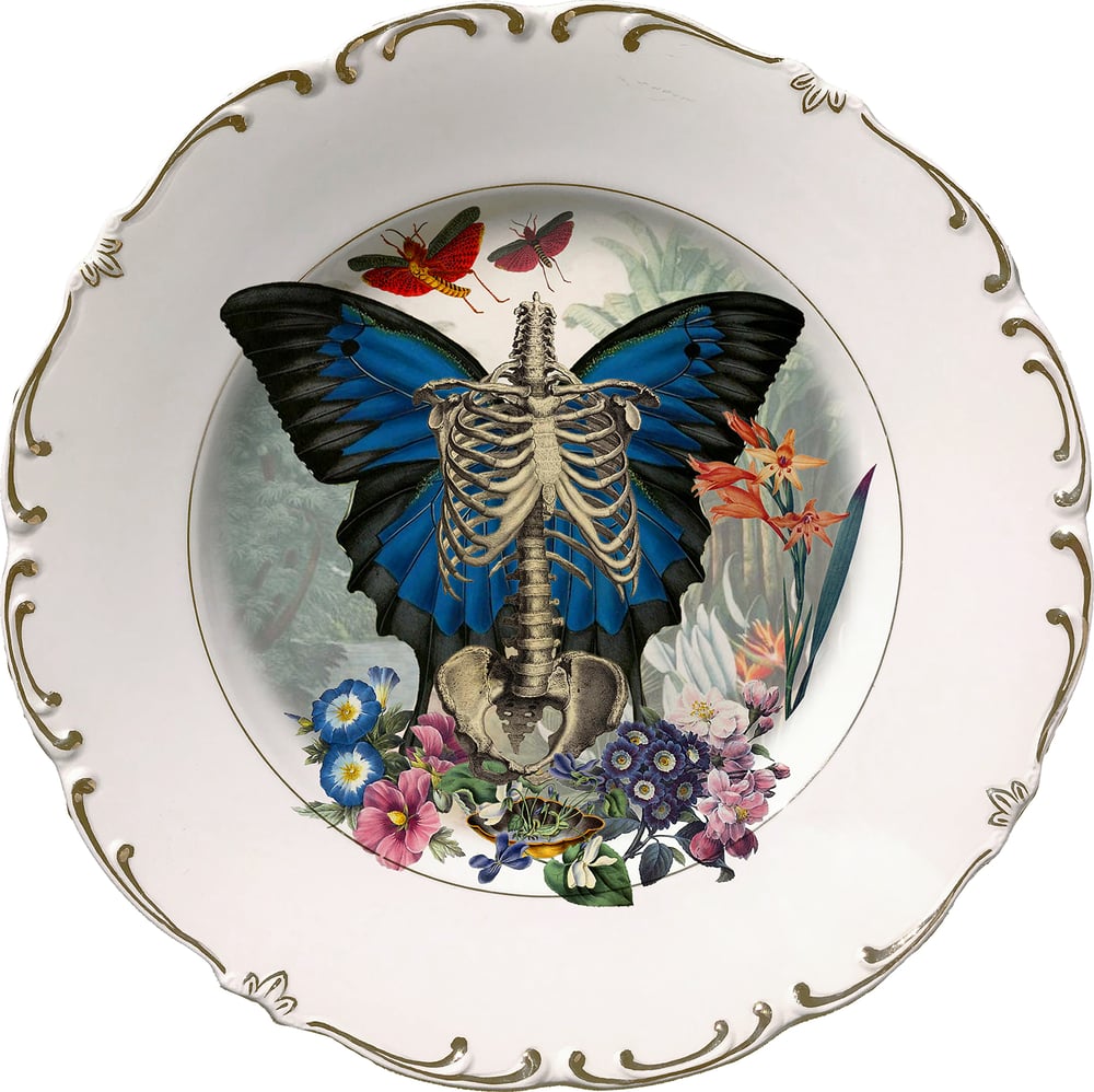 Image of Skeleton N Wings - Vintage Spanish Ceramic Plate - #0649