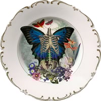 Image 1 of Skeleton N Wings - Vintage Spanish Ceramic Plate - #0649