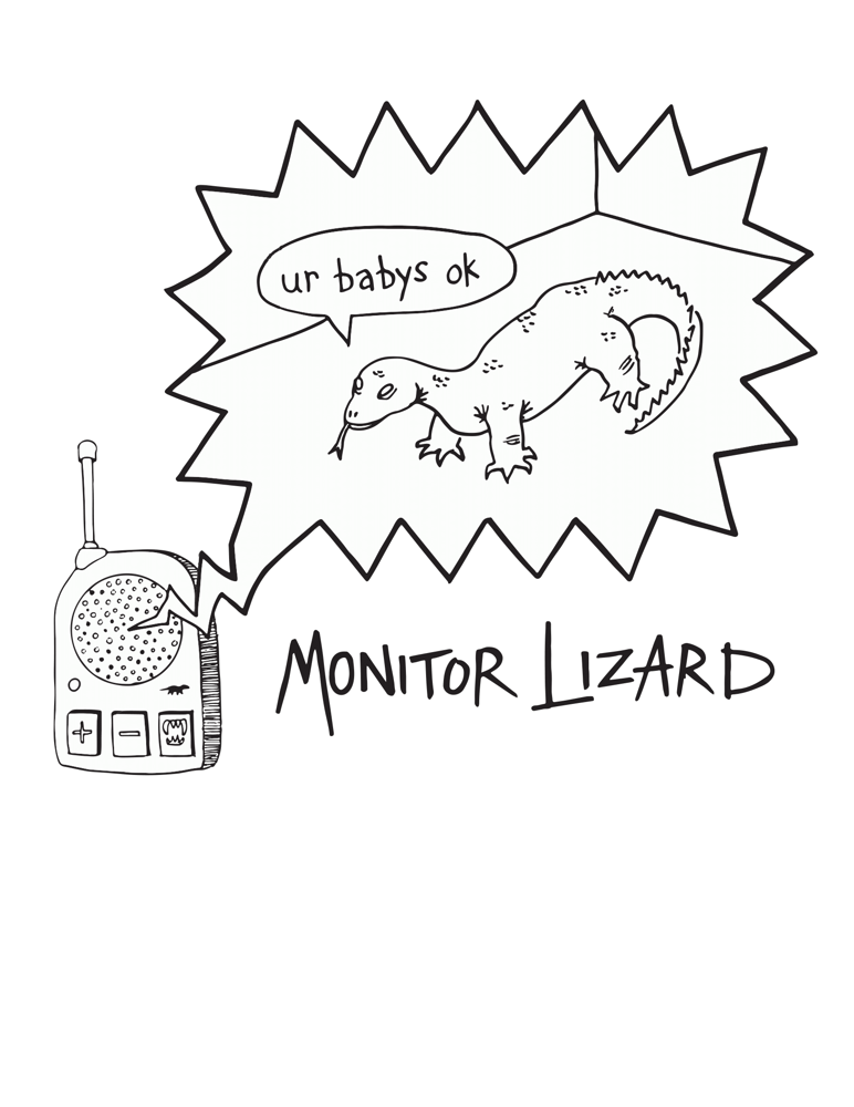 Image of Monitor Lizard