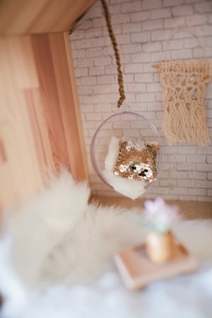 Image of Hanging bubble chair with white shag throw and rope 