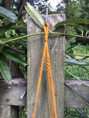 Image of Seaweed Macrame Hanger