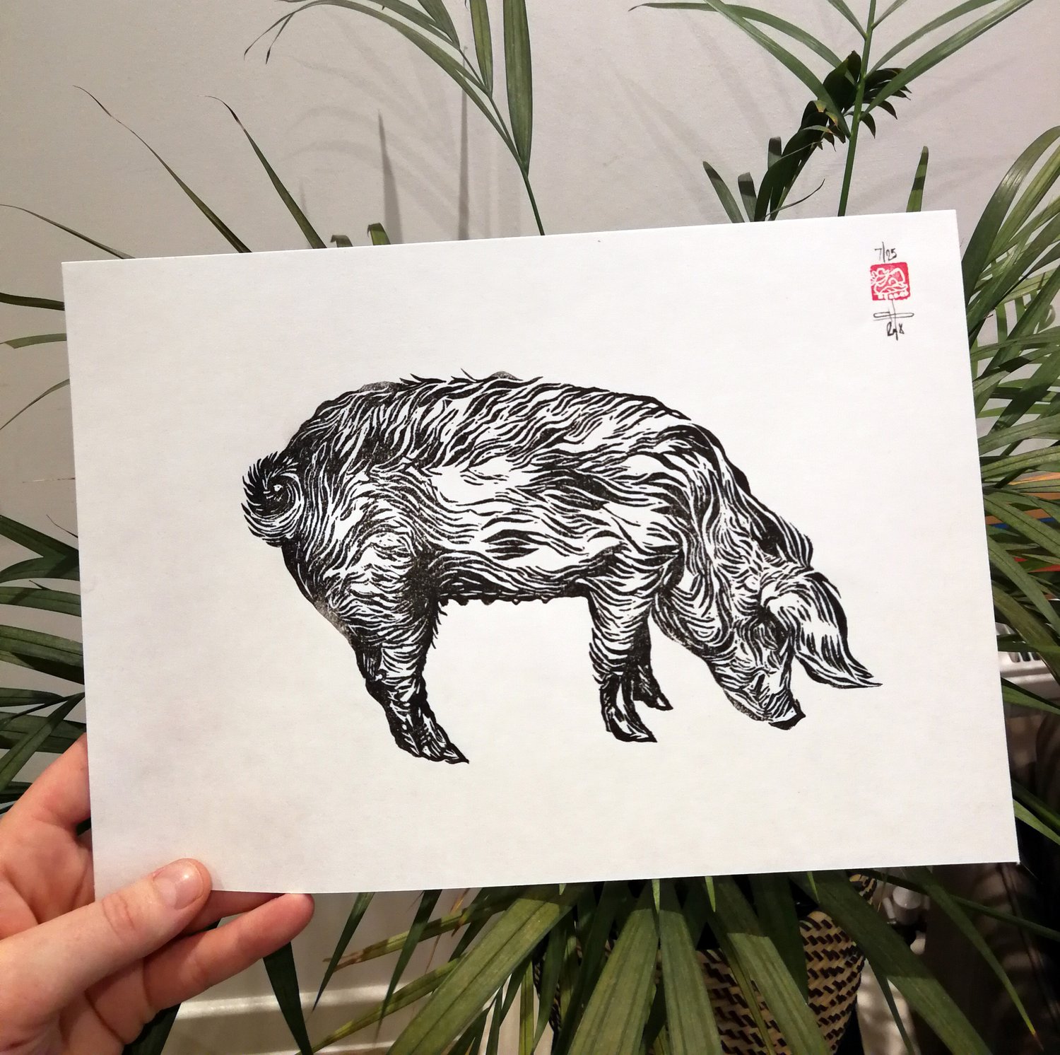 Image of Limited Edition Pig Lino Print