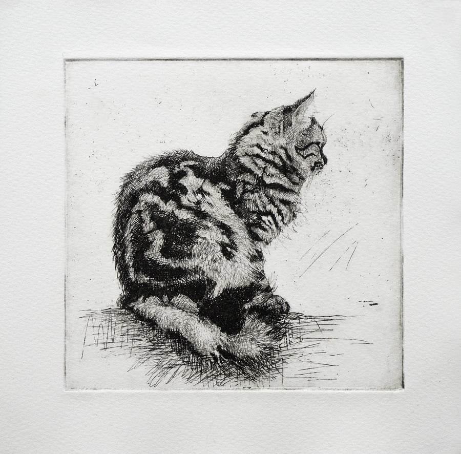 Image of LOOKOUT - HAND PULLED ORIGINAL ETCHING - INK ON PAPER - EDITION OF 35