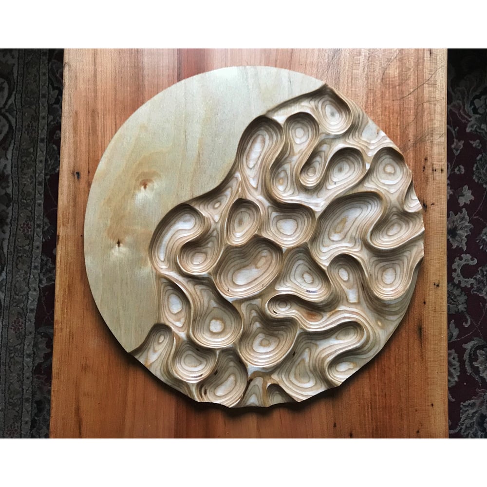 Image of Strange Tides. Ply carving