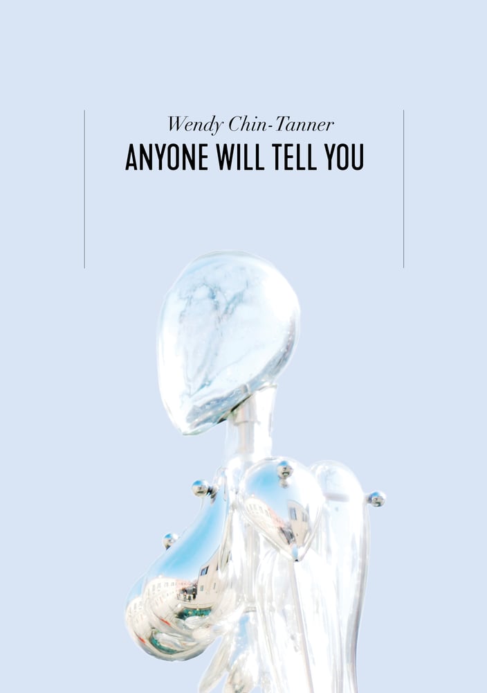 Image of Anyone Will Tell You by Wendy Chin-Tanner
