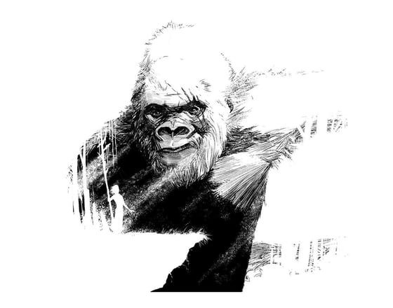 Image of King Kong