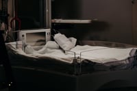 Image 3 of Labor and delivery bundle 