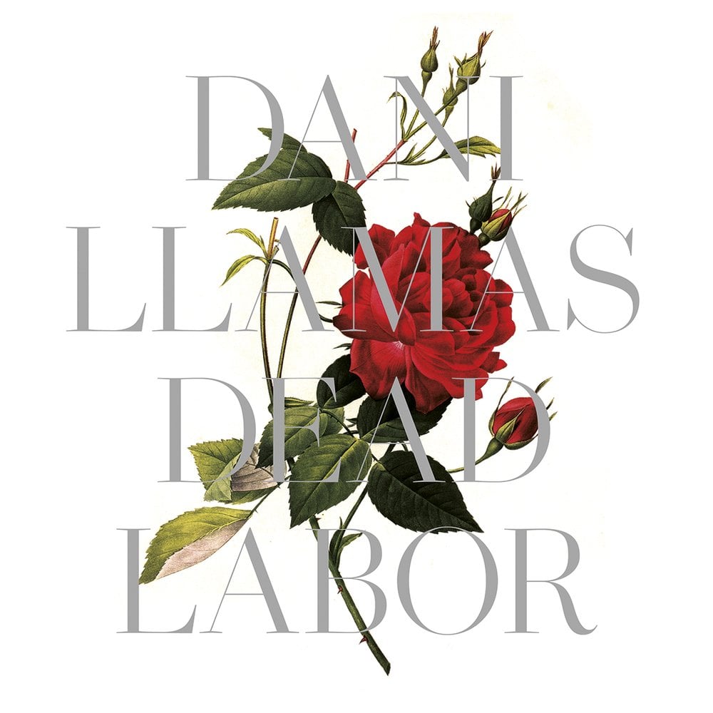 Image of Dead Labor