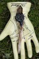 Image 1 of Smokey Quartz Frey's Antler