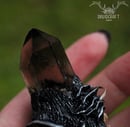 Image 3 of Smokey Quartz Frey's Antler