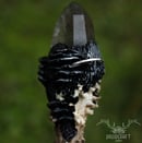 Image 5 of Rutile Quartz Frey's Antler