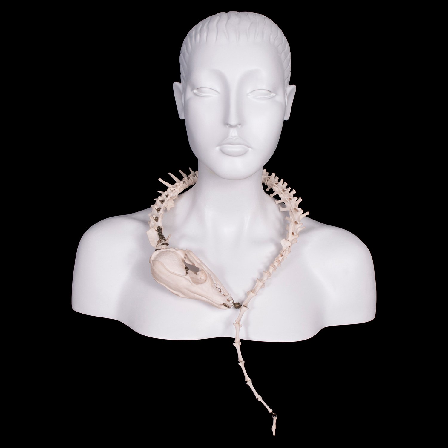 Complete Fox Spine Wrap Necklace | Ossuaria