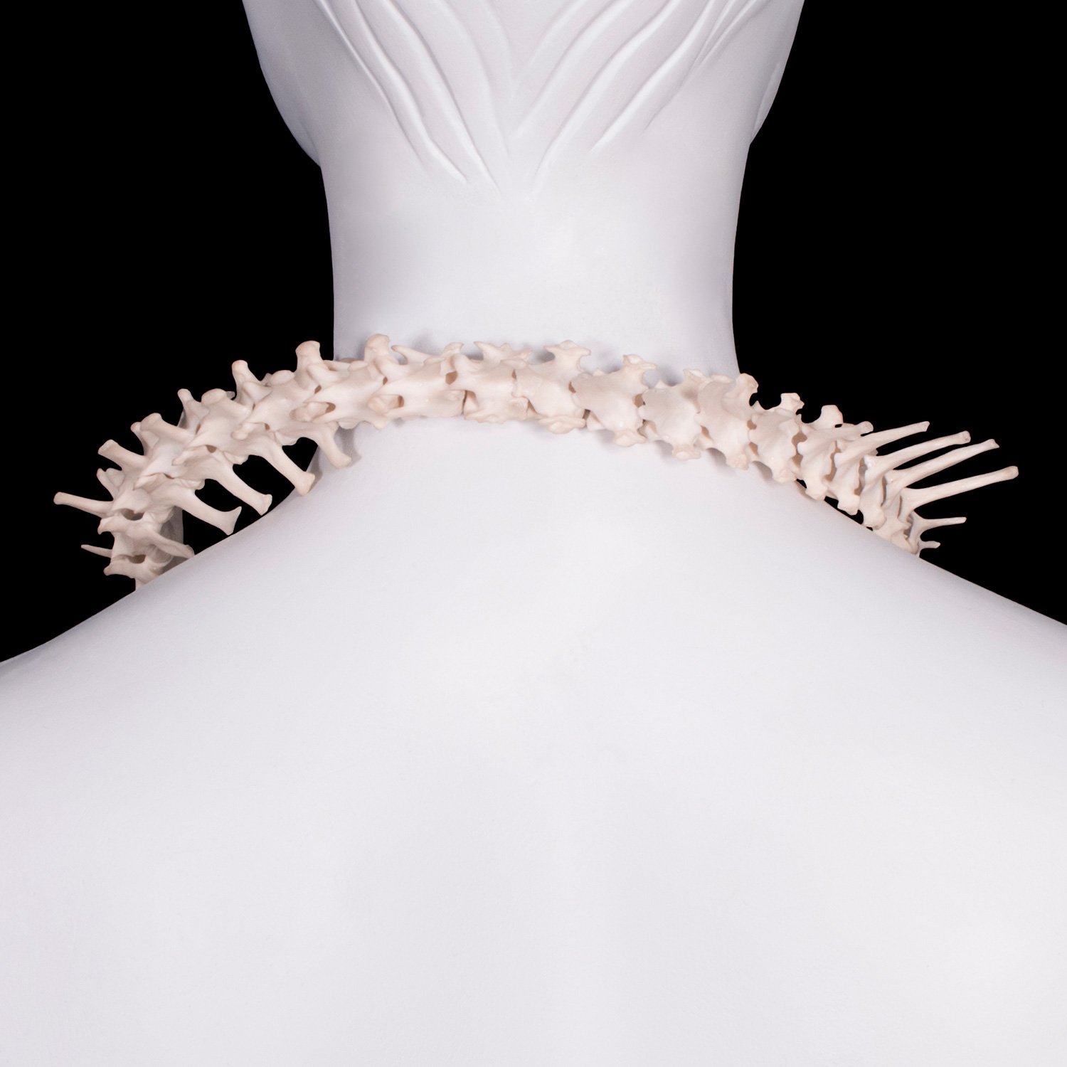 Complete Fox Spine Wrap Necklace | Ossuaria