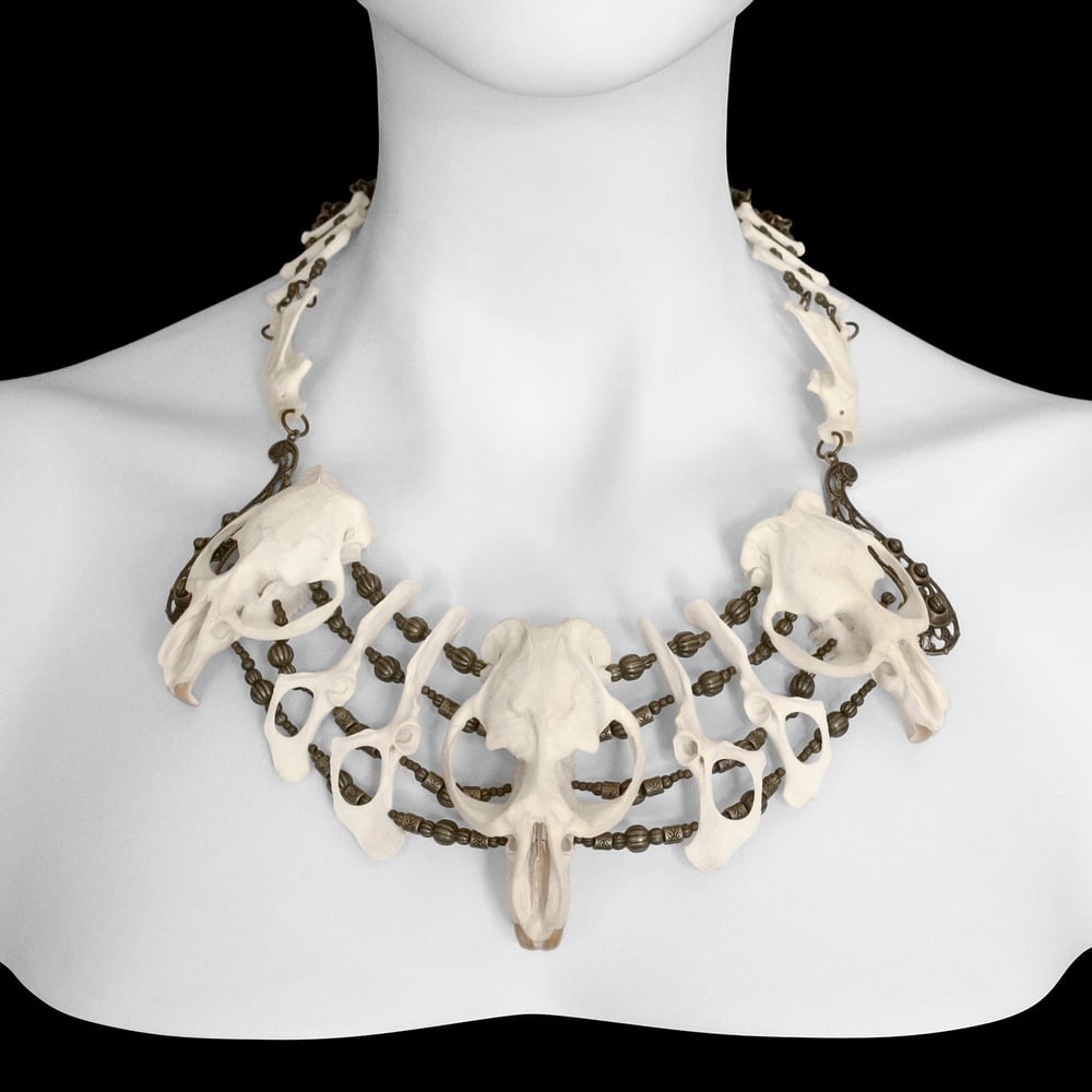 Image of "Xa Mai" Muskrat, Raccoon & Rabbit Bone Necklace