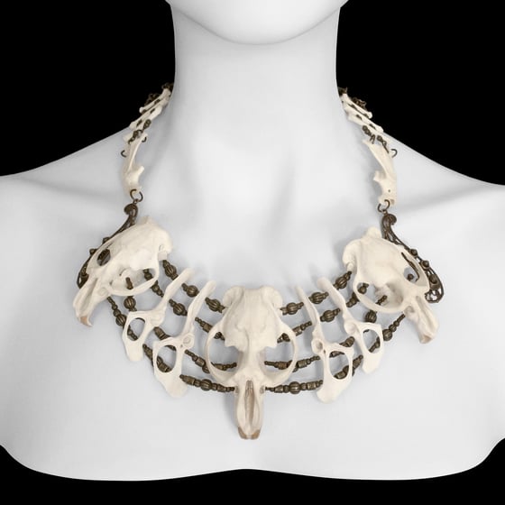 Image of "Xa Mai" Muskrat, Raccoon & Rabbit Bone Necklace