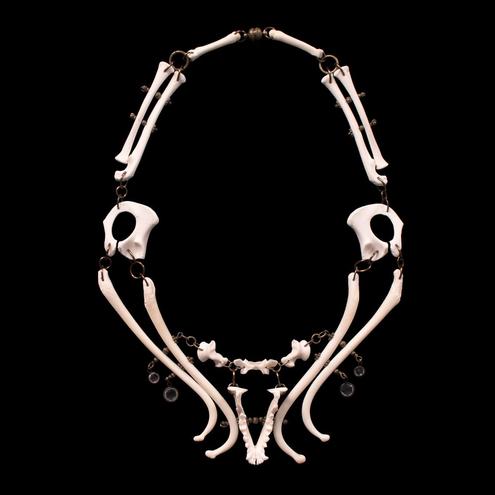 Image of "Anaka" Raccoon & Ferret Bone Necklace