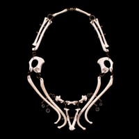 Image 4 of "Anaka" Raccoon & Ferret Bone Necklace