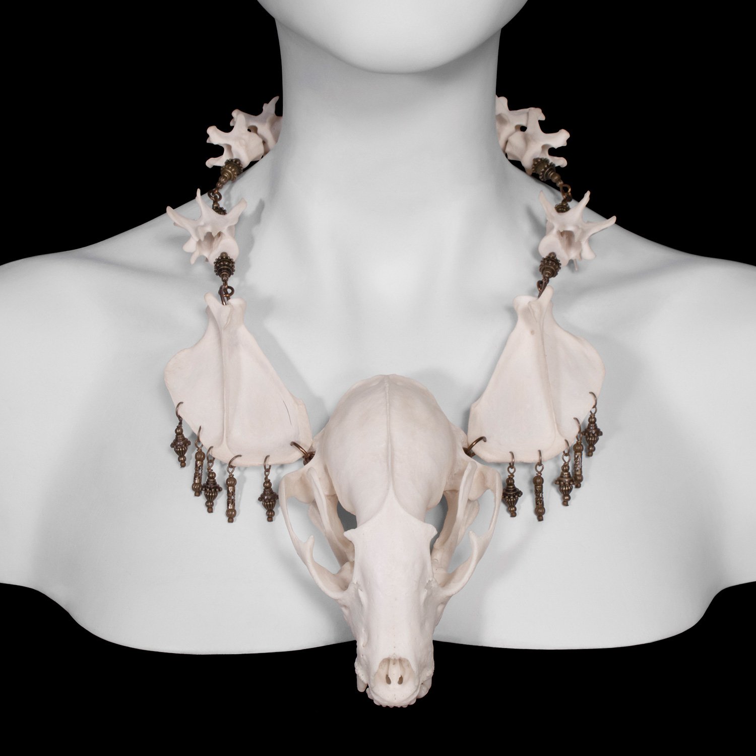 "Myval" Raccoon Skull Necklace / Ossuaria
