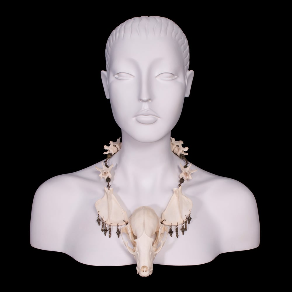 Image of "Myval" Raccoon Skull Necklace