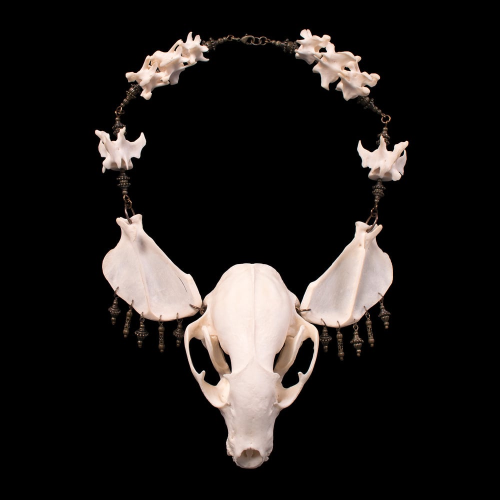 Image of "Myval" Raccoon Skull Necklace