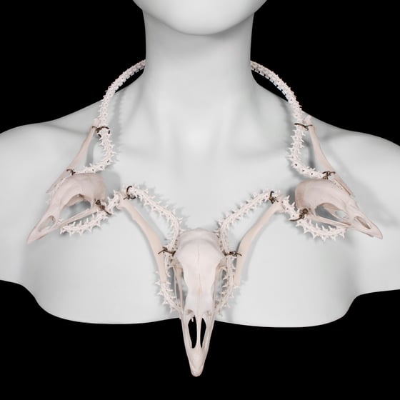 Image of "Kalkon" Turkey & Chicken Skull Necklace