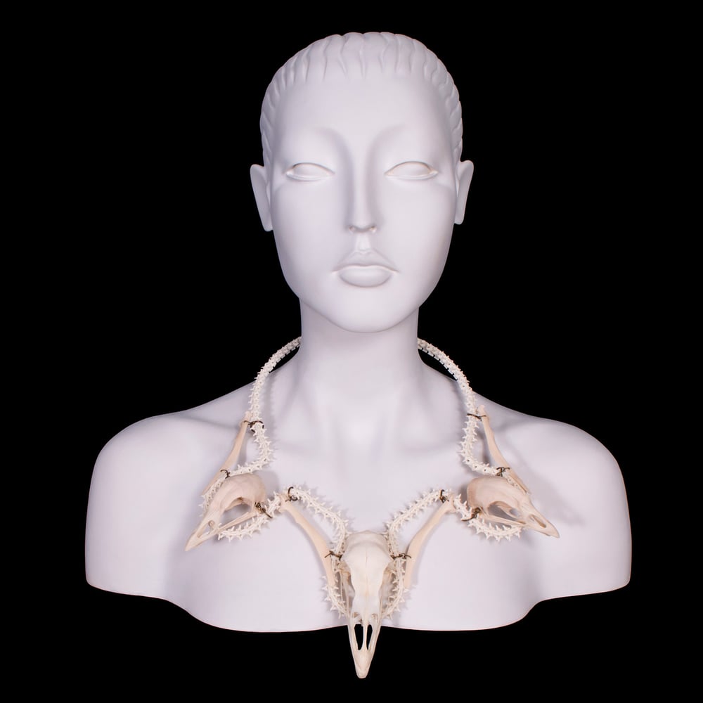 Image of "Kalkon" Turkey & Chicken Skull Necklace