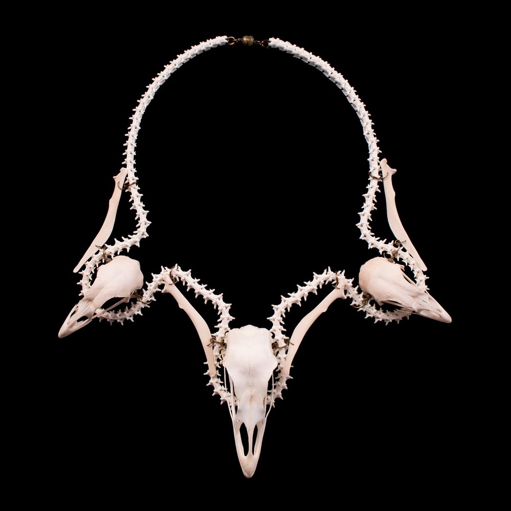 Image of "Kalkon" Turkey & Chicken Skull Necklace