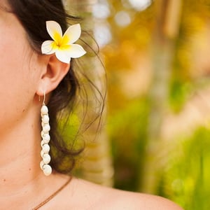 Image of Long and lovely Hawaiian white pipipi shell earrings