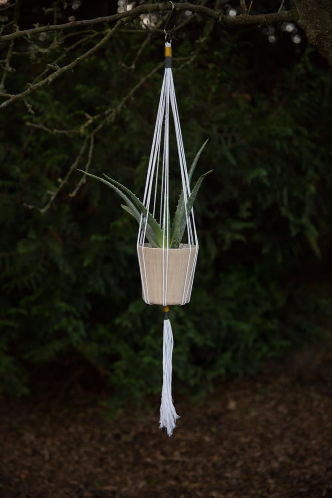 Image of Large aloe Vera hanger - mustard & grey accent 