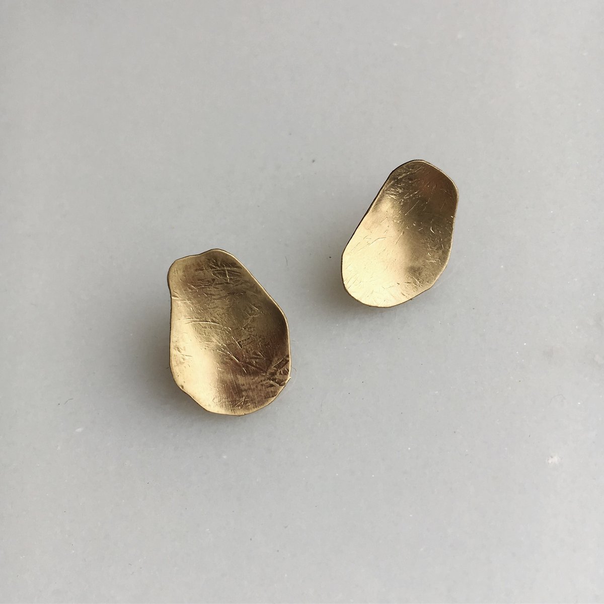 Image of fleck earring