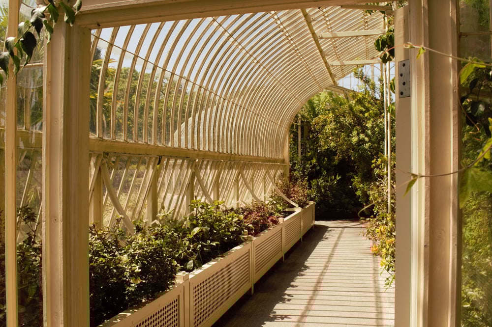 Image of Dublin Botanical Garden-Print