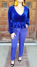Velvet Blouse 