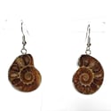 Ammonite Cameo Earrings
