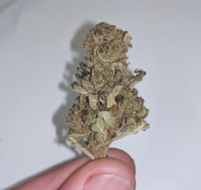 Image of   Premium Hemp Flowers : CBD Brain Haze 9.7% CBD 0.18% THC