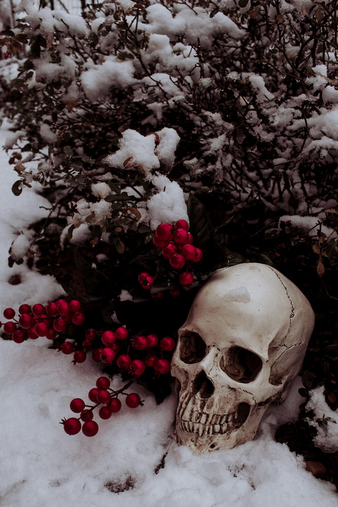 Image of Winter Tenderness 8x10