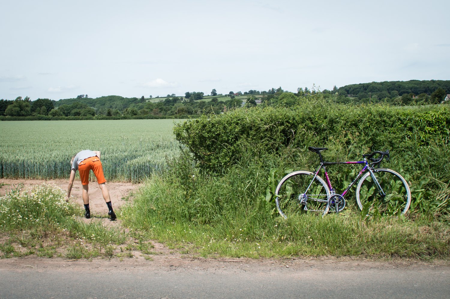 Image of Women's Climber Shorts Orange
