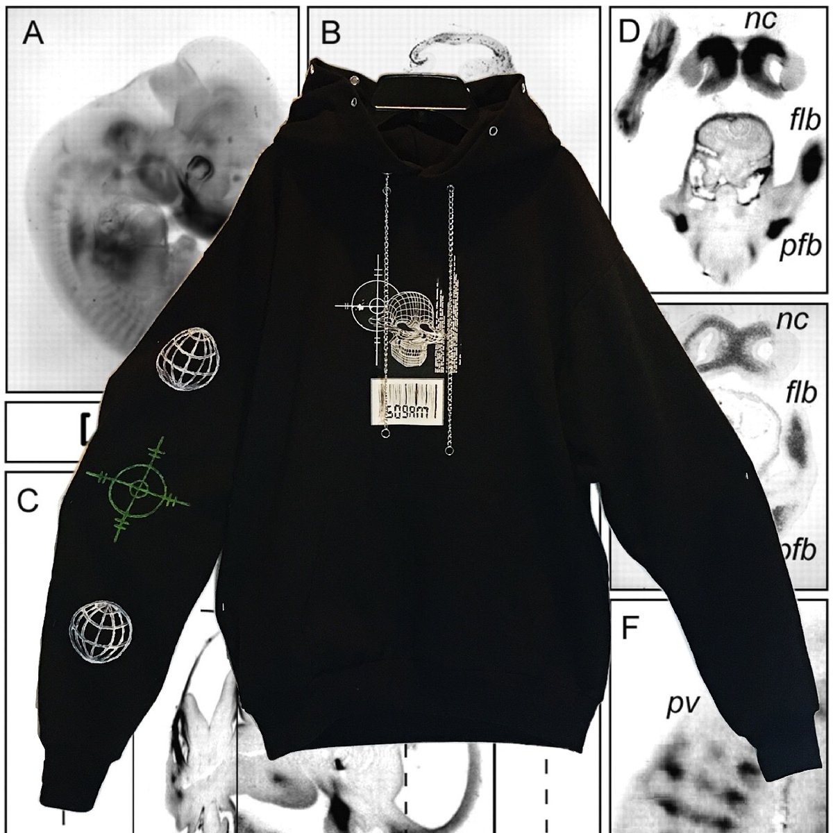 Image of WNTR $ZN H⊕⊕DIE ///      [ BLACK ]