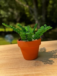 Image 1 of Mini Beaded Fern in Terracotta Pot