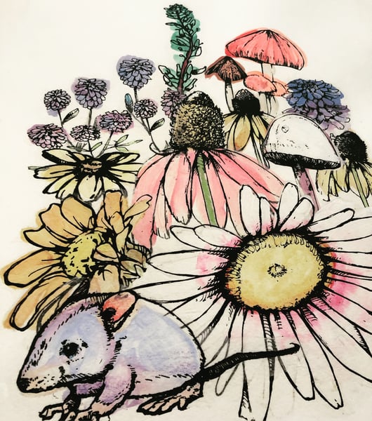 Image of Sage Vaughn Print 96/100 Signed by Artist 18”x24”