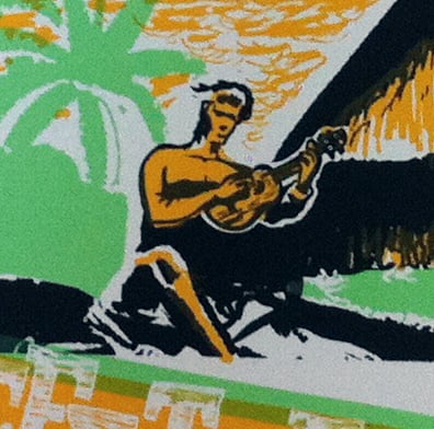 Jeff Tweedy - Honolulu, Hawaii 2011