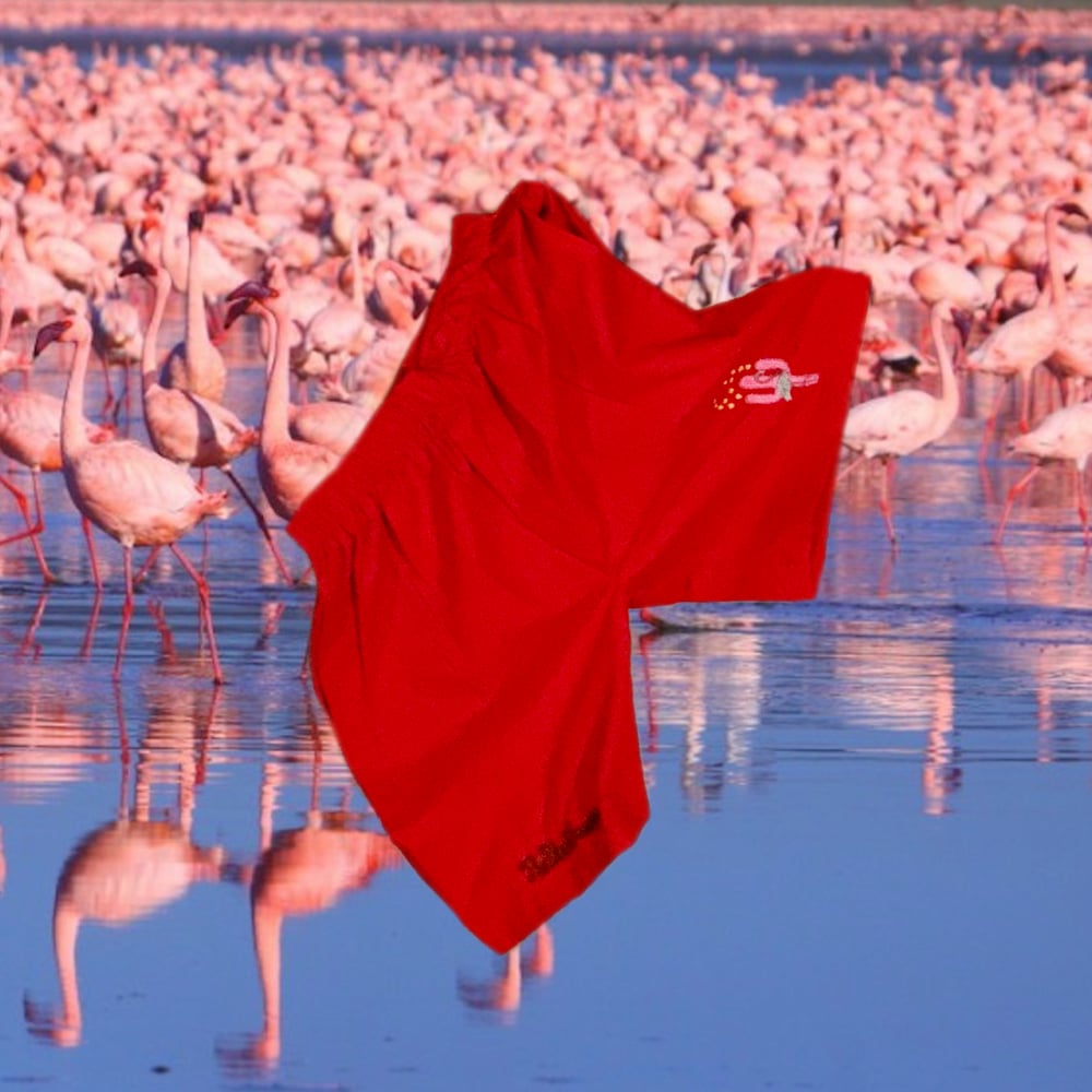Image of black flamingo pajamas red
