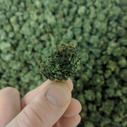 Image of Premium Hemp CBD Flowers : Vanilla Kush 8.9% CBD 0.18% THC