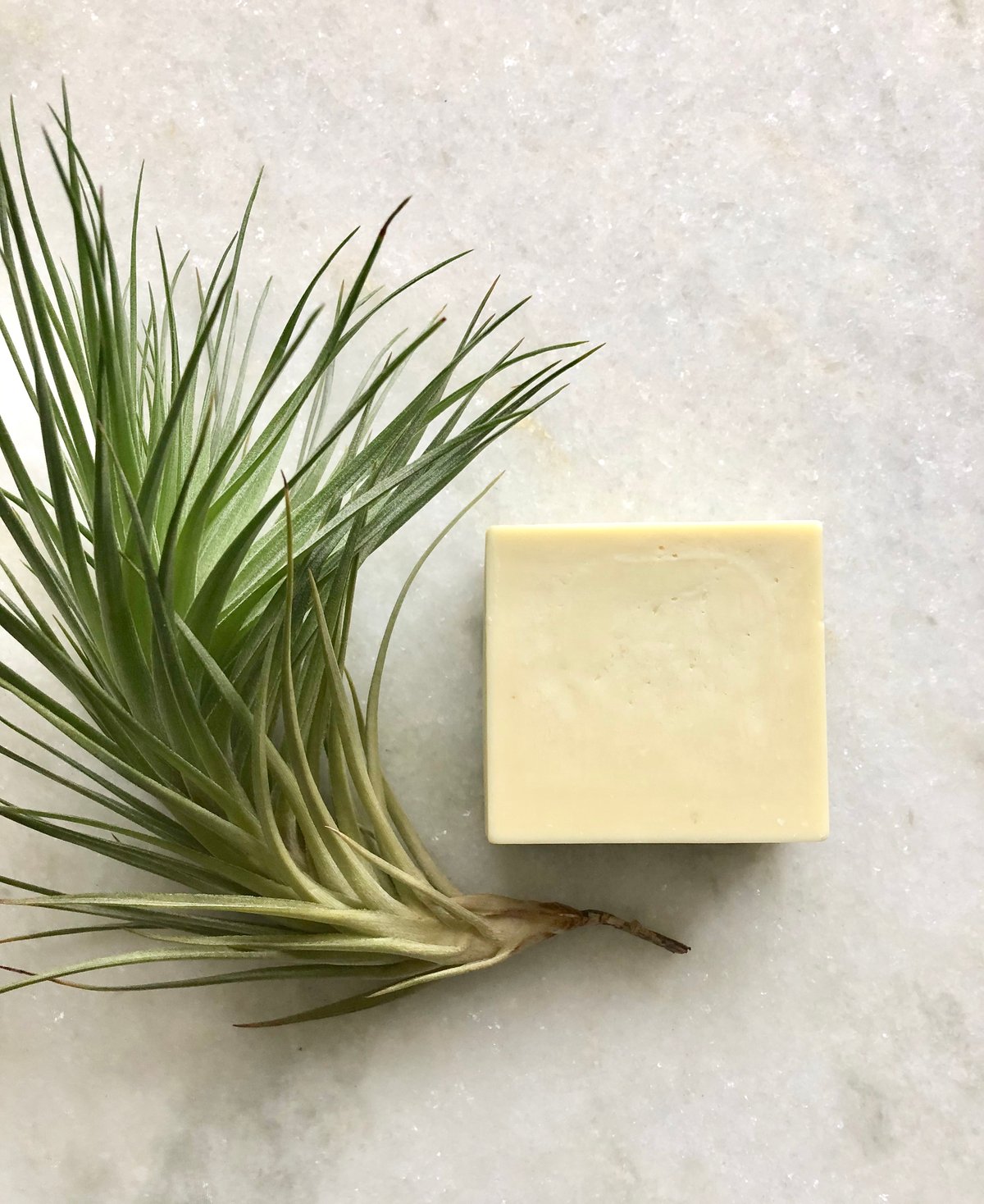 Image of Castile Bar