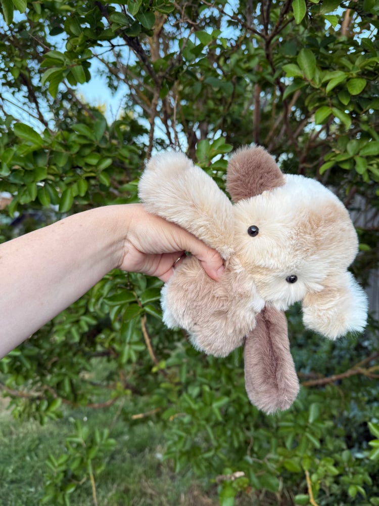Image of nursery neutral dweller