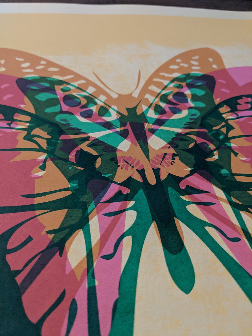 Wilco (An Evening With), Boston Butterfly