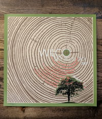 Image 1 of Wilco (Tree Rings) Sky Blue Sky Tour Poster **RARE**