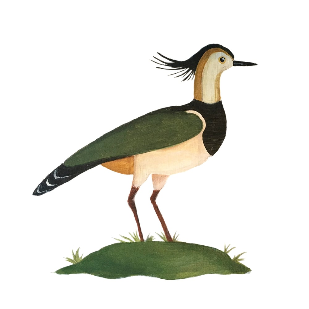 Image of Lapwing Lilly stool