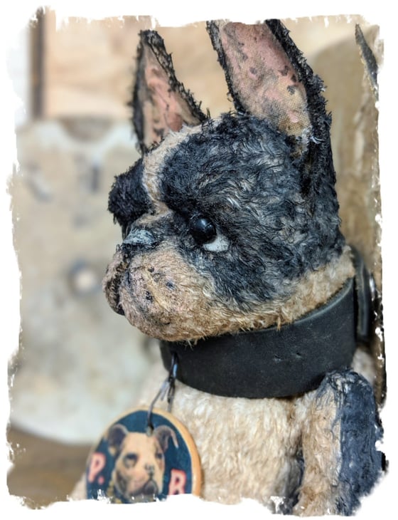 Image of 8.5" Vintage Style fat Boston Terrier Dog leather collar by Whendi's Bears